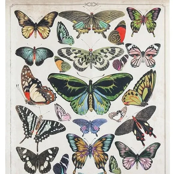 Butterflies Burlap & Wood Scroll Wall Décor - Picture 13 of 15